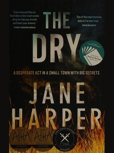 The Dry cover