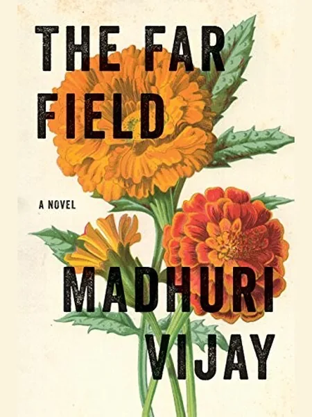 The Far Field, cover of another edition (the Grove/Atlantic, Incorporated 2019 cover is not yet photographed)