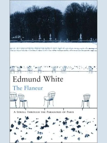The Flaneur, cover of the Bloomsbury Publishing, 2001 edition (the G.K. Hall 2001 cover is not yet photographed)
