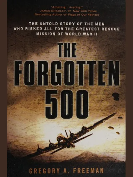 The Forgotten 500 cover