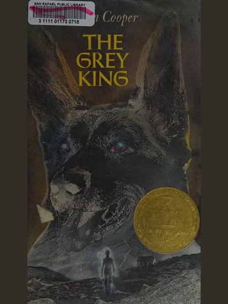 The Grey King cover