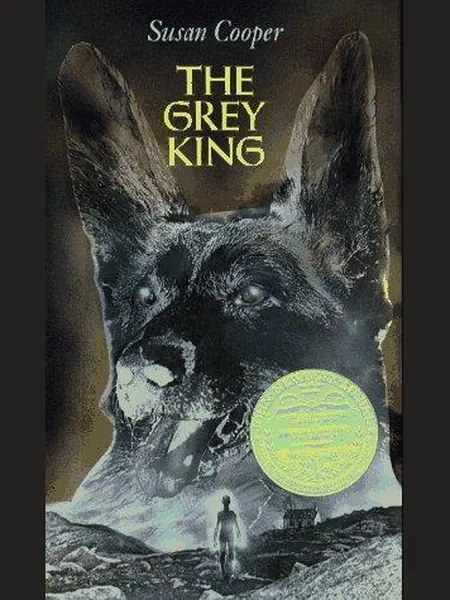 The Grey King cover