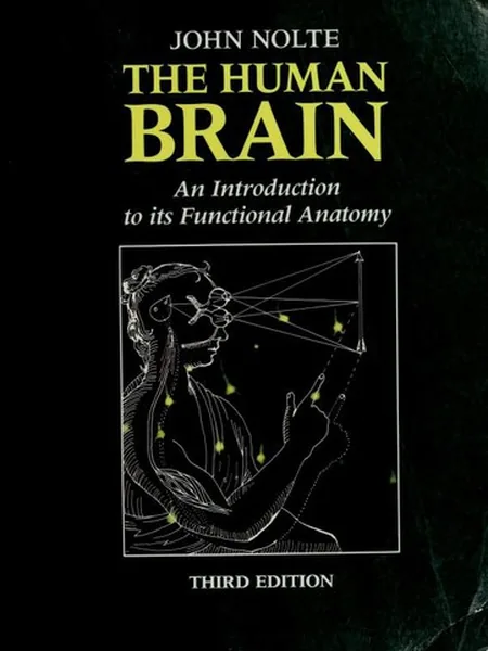 The Human Brain cover