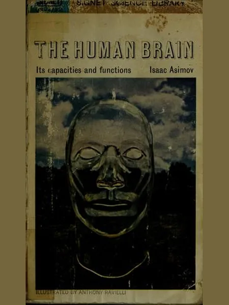 The Human Brain cover