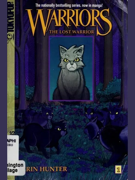 The Lost Warrior cover