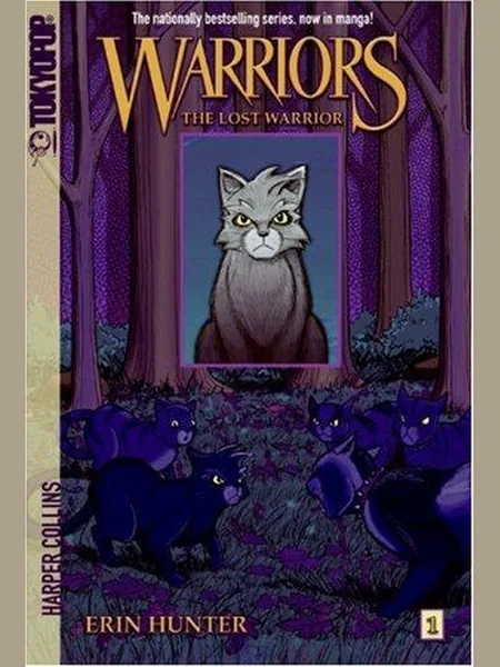 The Lost Warrior cover