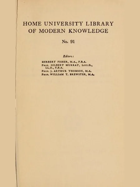 The Negro cover, H. Holt 1915