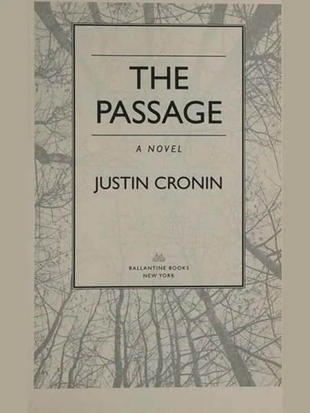 The Passage cover