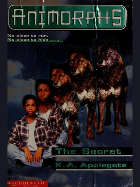 The Secret cover