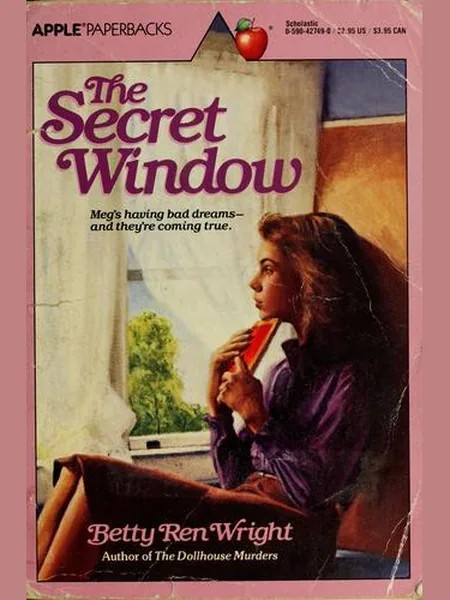 The Secret Window cover