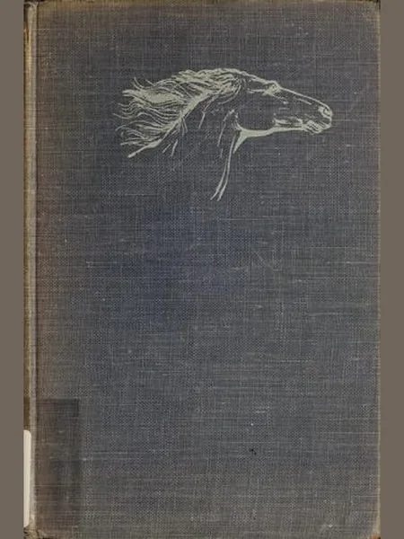 The Silver Brumby cover