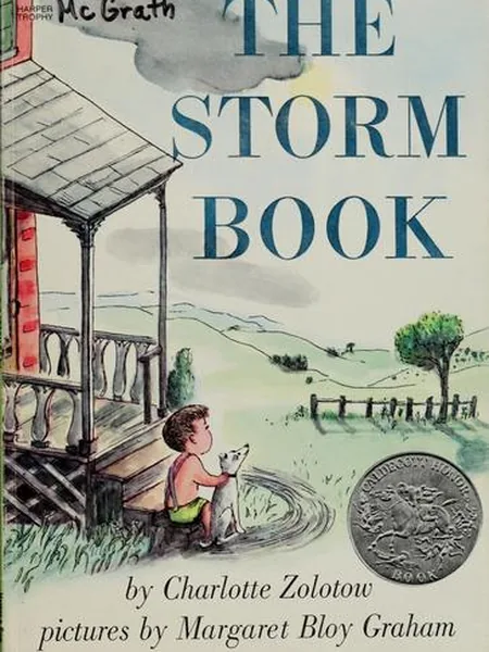 The Storm Book cover