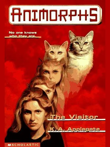 The Visitor cover