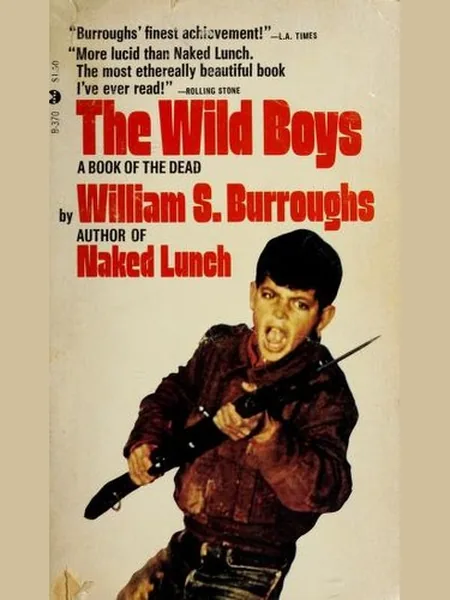 The Wild Boys cover