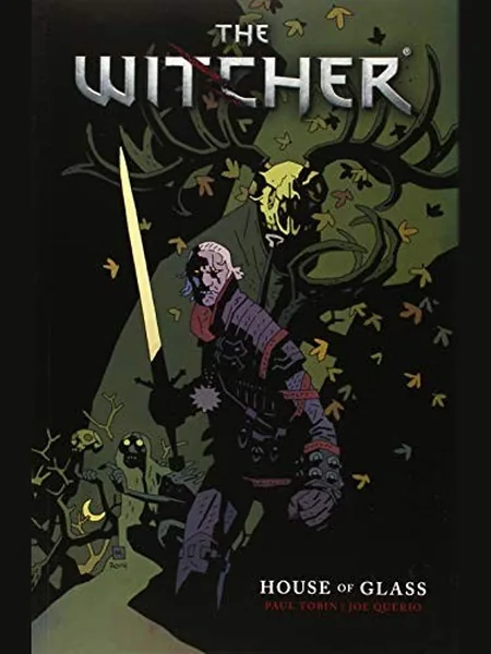 The Witcher cover