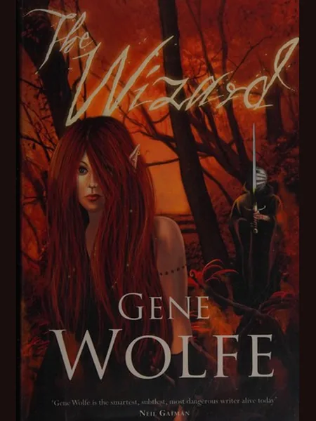 The Wizard cover