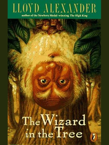 The Wizard in the Tree, cover of another edition (the Dutton 1975 cover is not yet photographed)