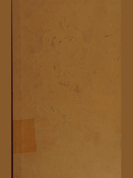 The Woman Warrior, cover of another edition (the Pan Books 1981 cover is not yet photographed)