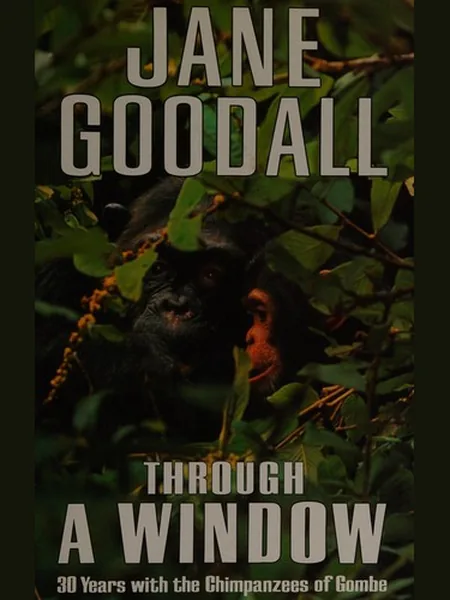 Through a Window first edition cover, Weidenfeld & Nicolson 1990