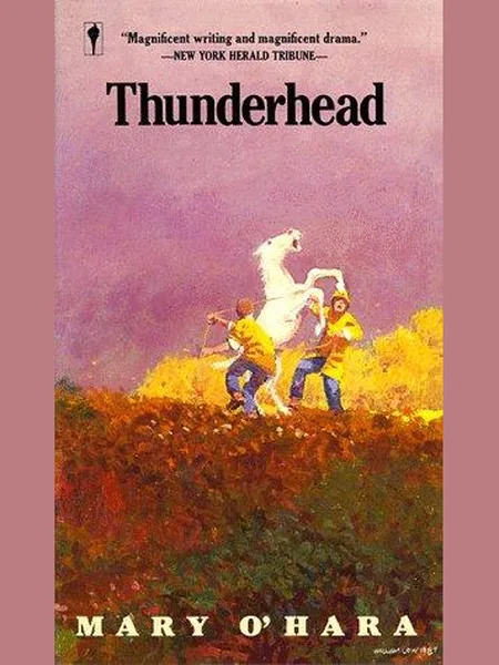 Thunderhead cover