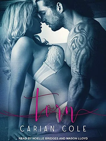 Torn, cover of another edition (the Grand Central Publishing 2024 cover is not yet photographed)