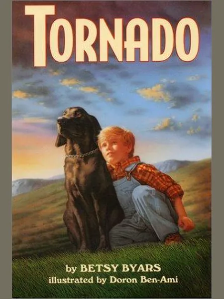 Tornado cover