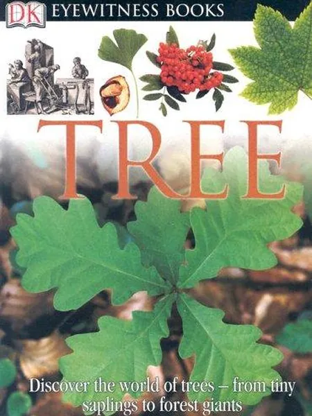Tree cover