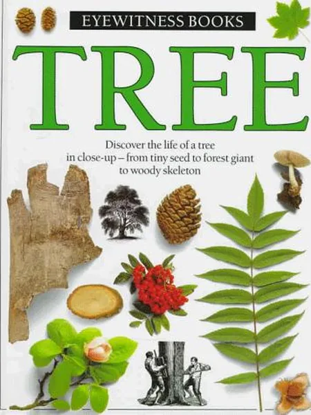 Tree first edition cover, Knopf 1988