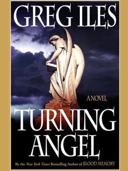 Turning Angel cover