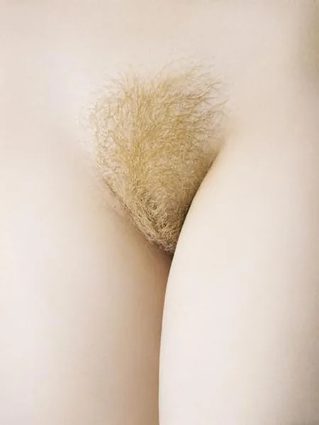 Twenty-Five Nudes cover
