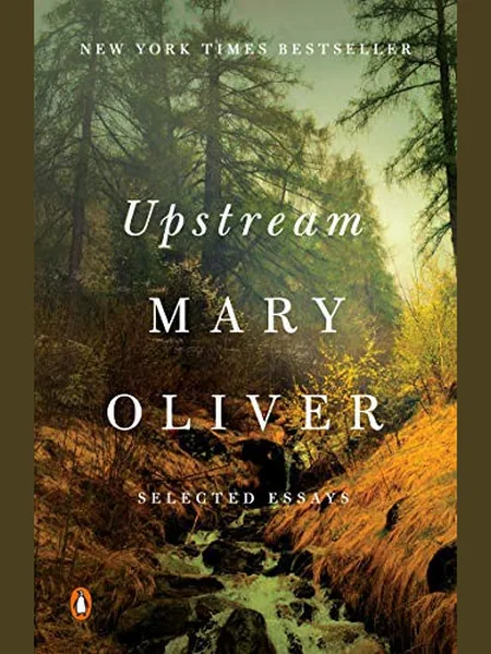 Upstream cover