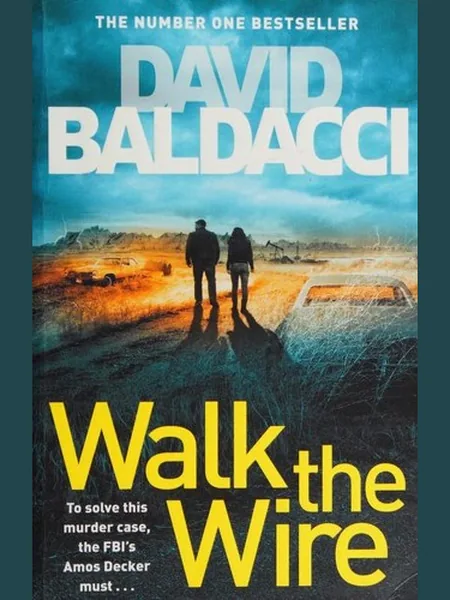 Walk the Wire cover, Pan Books 2020