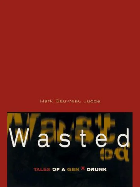 Wasted first edition cover, Hazelden 1997
