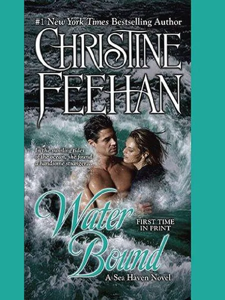 Water Bound, cover of another edition (the Thorndike Press 2010 cover is not yet photographed)