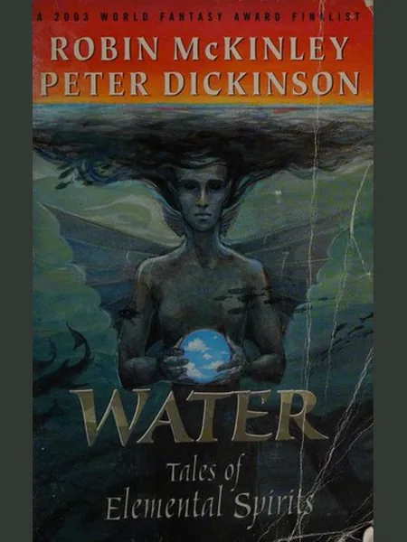 Water cover, Puffin 2004