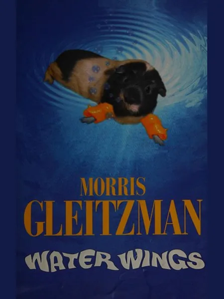 Water Wings cover