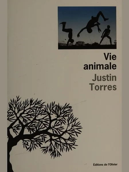 We the Animals cover