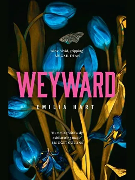 Weyward cover
