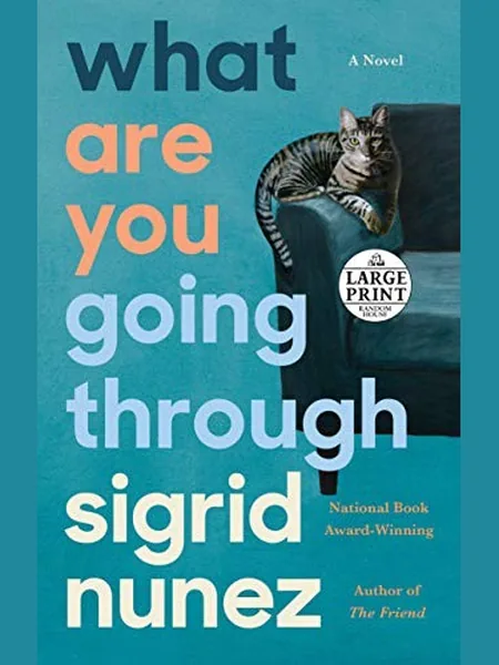 What Are You Going Through cover