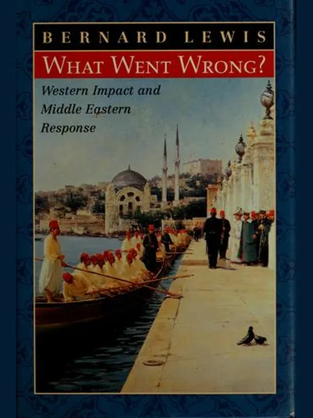 What Went Wrong? cover