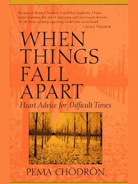 When Things Fall Apart cover