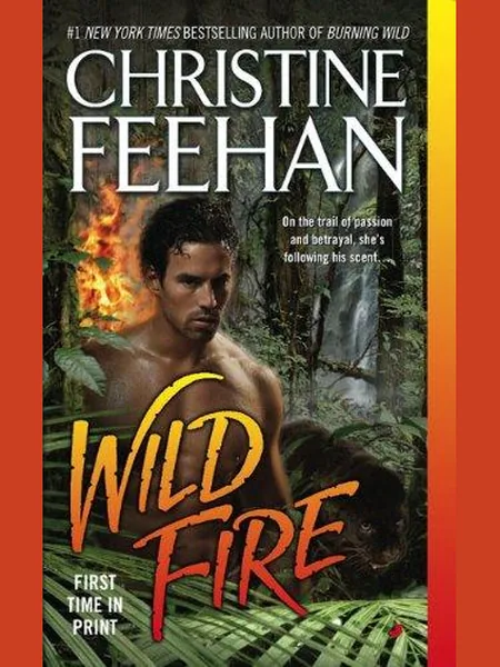Wild Fire cover