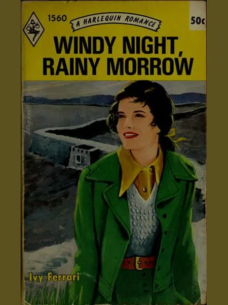 Windy Night, Rainy Morrow cover
