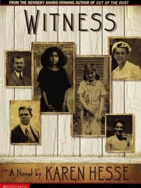 Witness cover