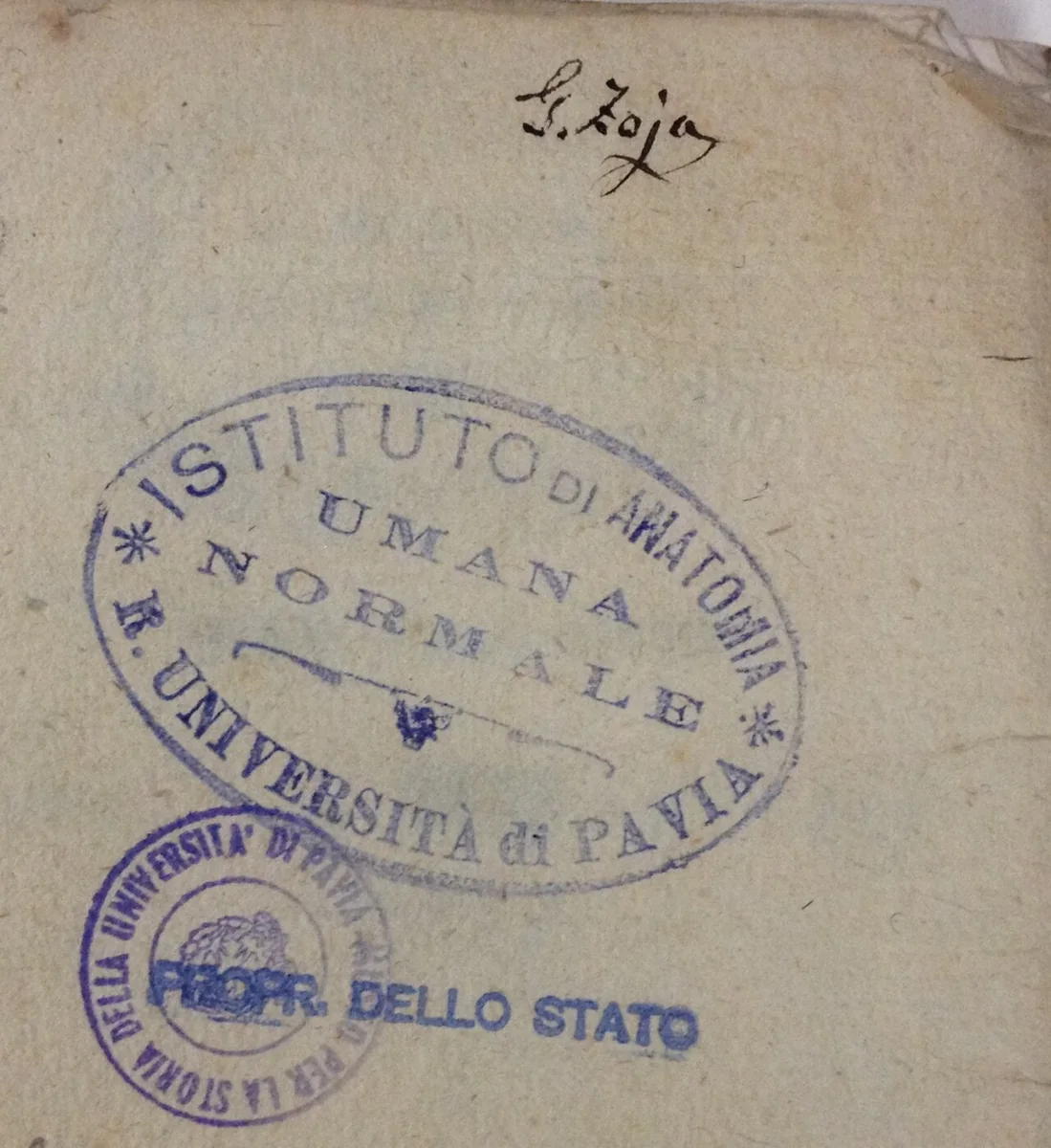 Blue oval and round ink stamps of the University of Pavia anatomy institute on an old book page