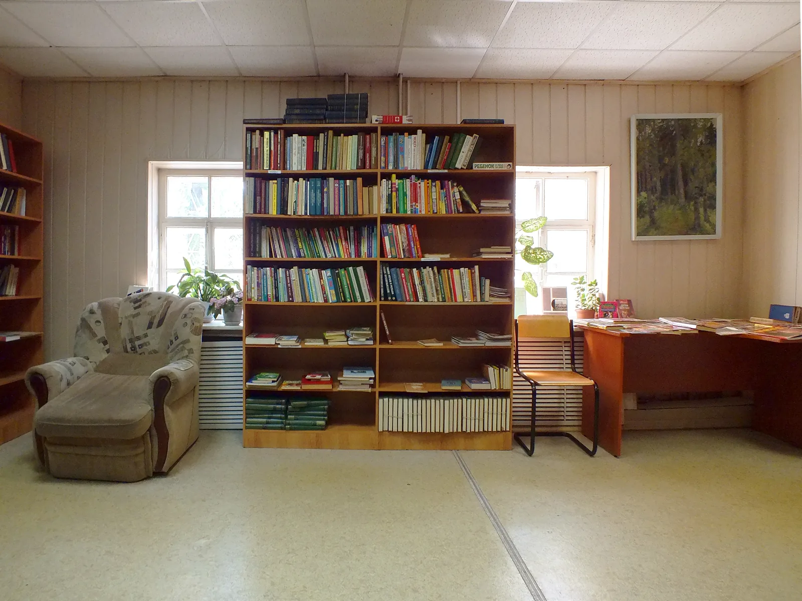 Crowded shelves of second-hand books in a bookshop